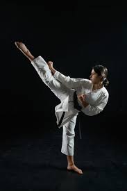 Image result for Action Karate