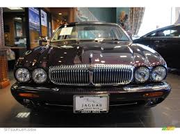 Image result for Amananth Purple 1999 Jaguar