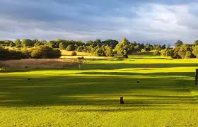 Image result for Haddington Bowling Club