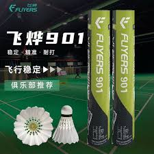 Image result for Flight Badminton Club