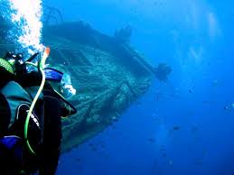 Image result for Bsac London No1 Branch