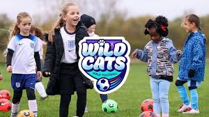 Image result for Whitley Badminton Club