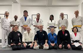 Image result for Ji Shin Do Karate