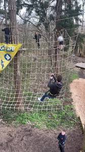 Image result for Go Ape! Leeds Castle