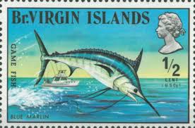 Image result for Makaira nigricans