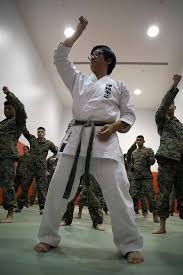 Image result for Jodan Karate