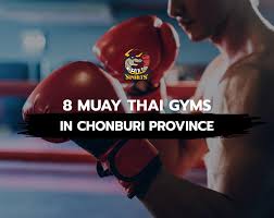 Image result for Muay Thai Clubs