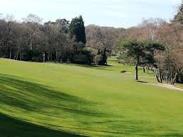 Image result for Puttenham Golf Club