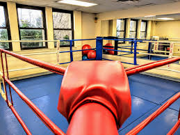 Image result for S J T B Thai Boxing Gym