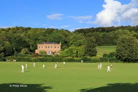 Image result for Swyncombe Cricket Club