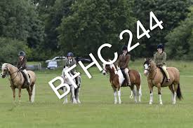 Image result for Blackpool & Fylde Horse Club