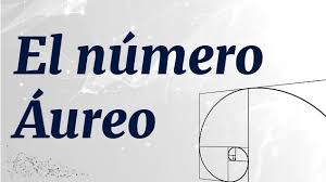 Image result for numero aureo