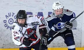 Image result for Ice Hockey International