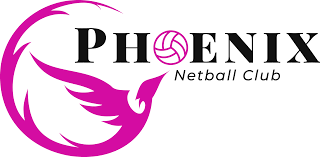 Image result for Molineux Netball Club