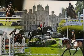 Image result for Chiddingfold Branch Of The Pony Club