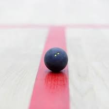 Image result for Jersey Squash Club