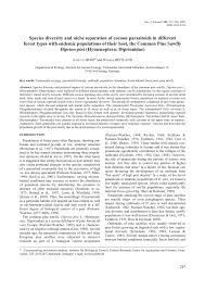 Attēlu rezultāti vaicājumam “Diprionidae cocoon”