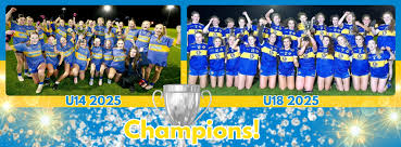 Image result for St Patrick`s Gac, Saul