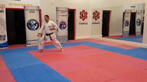 Image result for Yonju dojo shotokan karate club