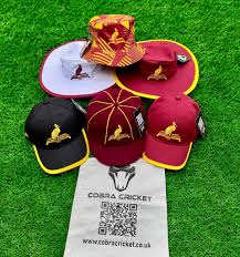 Image result for Hodnet & Peplow Cricket Club