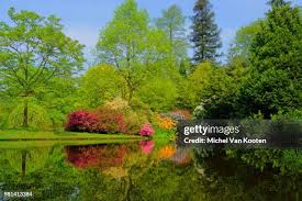 Image result for Arboretum Trompenburg
