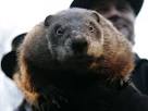 Groundhog Day 2012 cheat sheet