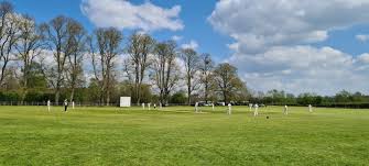 Image result for Chew Magna Cricket Club