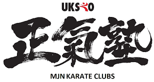 Image result for Seiki Juku Karate Club