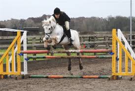 Image result for Weybridge Equestrian Centre