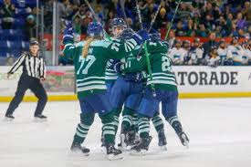 Image result for Fleet Hockey Club