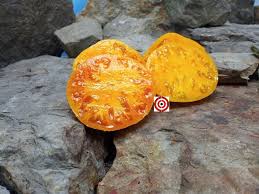 Afbeeldingsresultaat voor amana orange beefsteak tomato