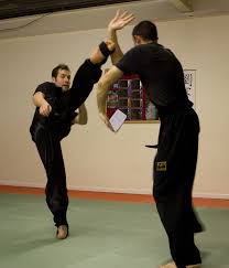Image result for Salisbury Lau Gar Kung Fu Club