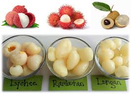 Attēlu rezultāti vaicājumam “Laburnum alpinum fruit”