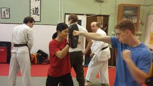 Image result for Southampton University Shorinji Kempo Club