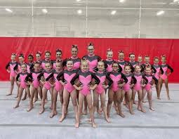 Image result for Weybridge Gymnastics