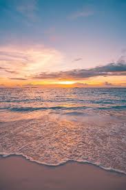 Image result for sunset