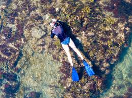 Image result for East Snorkellers