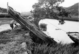 Image result for 耐震 大津波無力