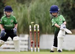 Image result for Ammanford Cricket Club