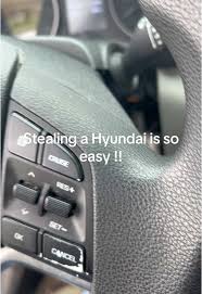 Image result for tuscani tibu...start=0