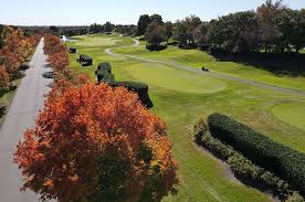 Image result for Belmont Scrabble Club