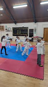 Image result for Utf Taekwondo Cymru Cardiff