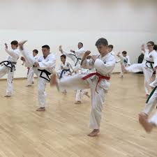 Image result for Bytomic Tae Kwon Do Guildford