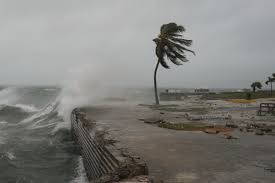 Image result for Hurricanes
