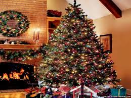 مجموعة صور لأجمل ـشجرة عيد الميلاد - صفحة 5 Images?q=tbn:ANd9GcQEPSxdW3BhEPFiXnJttmKkZolT_DOkfES7IykIgP_3LSy0_XRoxQ