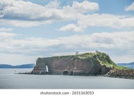 Image result for Dawlish Sc