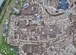 Attēlu rezultāti vaicājumam “Danthonia decumbens fruit”