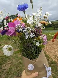 Image result for Bravo 4 Zero, Penrith, Cumbria