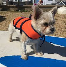 Image result for Essex Kitesurf Club