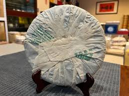 Image result for 2011早春